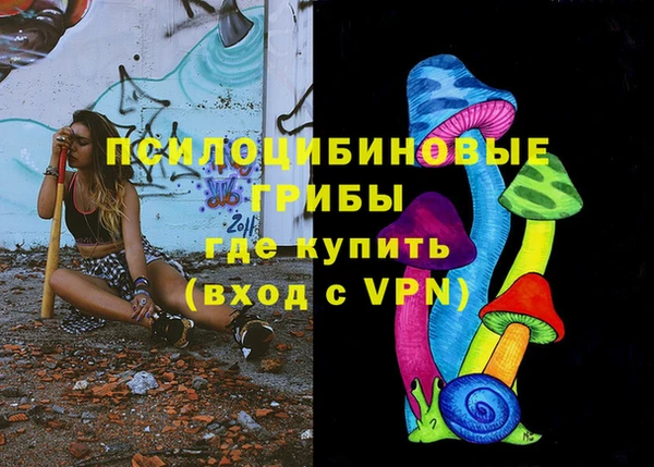 шишки Алзамай