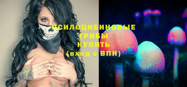 прущий лед Алексин