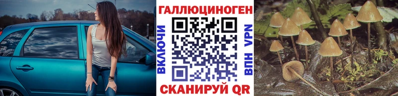 магазин продажи наркотиков  Мирный  даркнет состав  Галлюциногенные грибы Magic Shrooms 