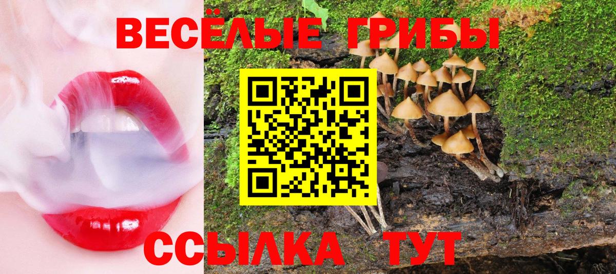 Галлюциногенные грибы Psilocybine cubensis Мирный