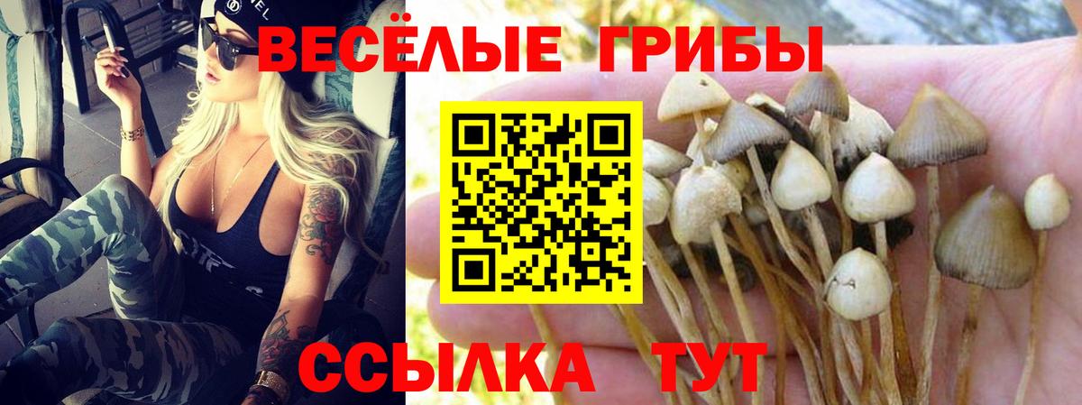 Мирный  Галлюциногенные грибы GOLDEN TEACHER  Вход с VPN 